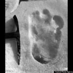 Uma pegada de um Yeti, alegadamente tirada próxima ao Monte Everest em 1951.
