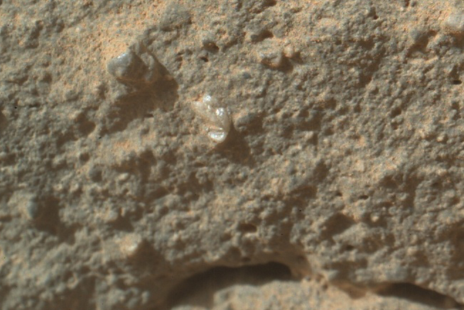 mars-flower-curiosity-closeup
