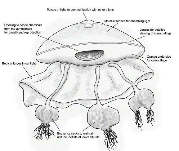Anatomia de possíveis alienígenas do tipo 'agua-viva'