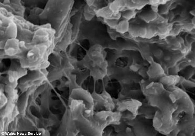 Massa de bactérias, provavelmente alienigenas, encontrada no experimento