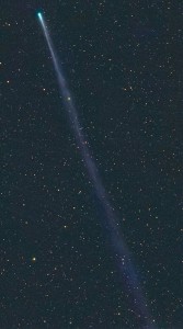 Cometa ISON e sua enorme cauda