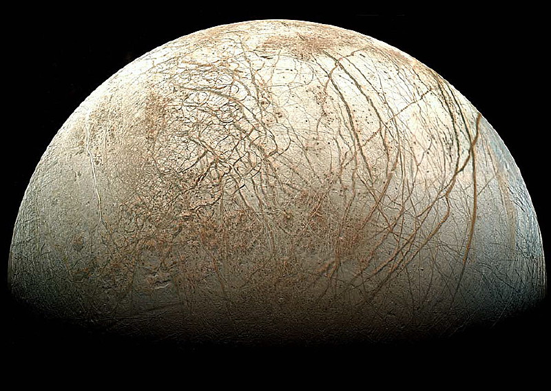 Que vida alienígena poderia viver no mega oceano de lua de Júpiter