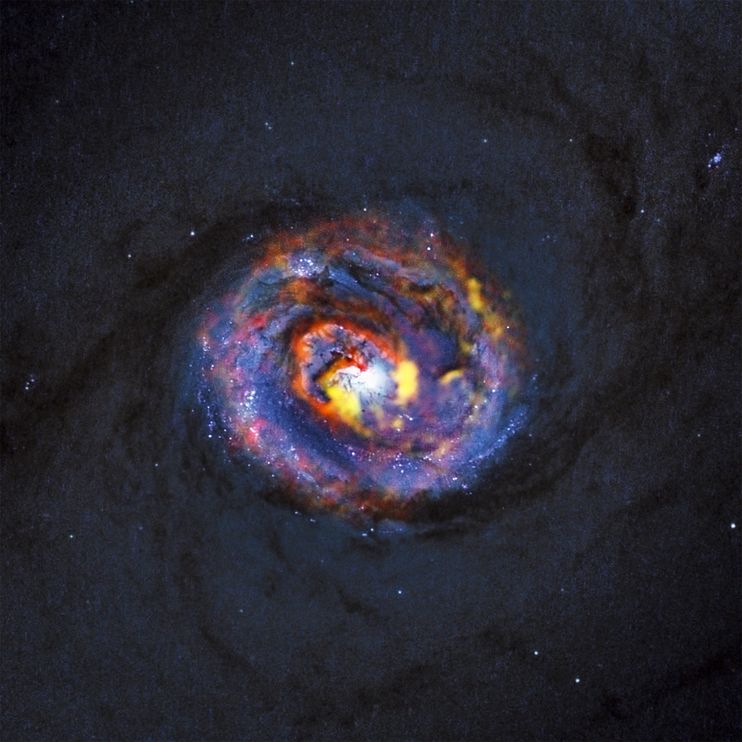 A surprising spiral shape in the nearby active galaxy NGC 1433, shown above, indicates material flowing in to fuel a black hole. A jet of material flowing away from the black hole has also been observed. PHOTOGRAPH BY ALMA (ESO/NAOJ/NRAO)/NASA/ESA/F. COMBES