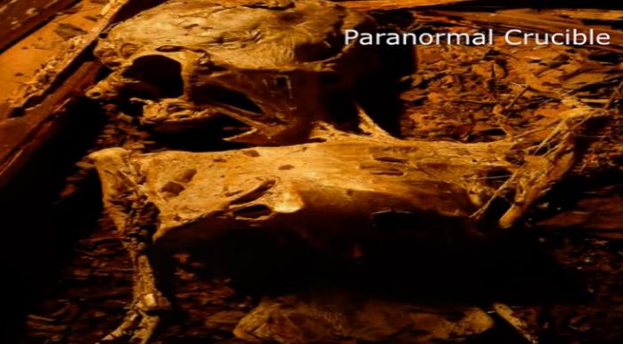 possíveis corpos mumificados de ETs