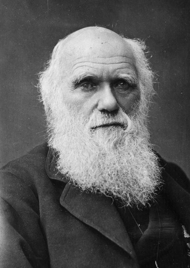 Darwin Darwin.