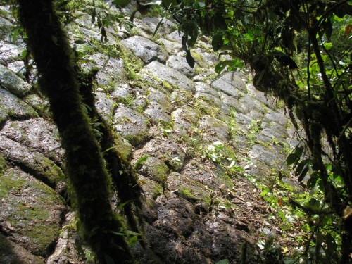 Formação natural? O que você precisa saber sobre a Cidade Perdida de Gigantes, no Equador
