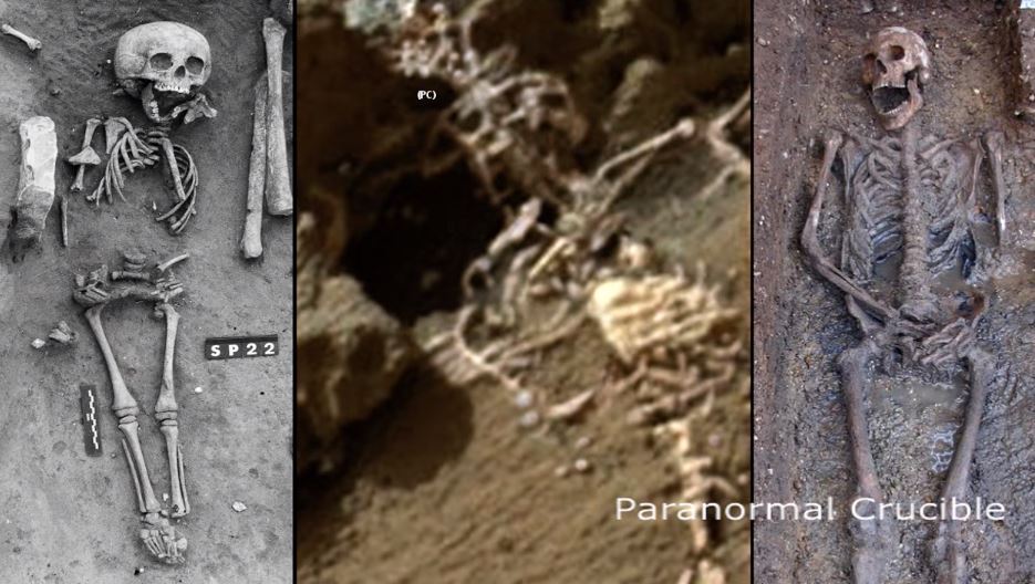 Comparação do que foi encontrado na foto de Marte, com esqueletos na Terra.