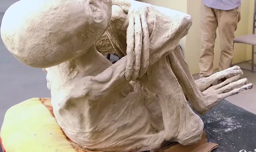 múmia de três dedos