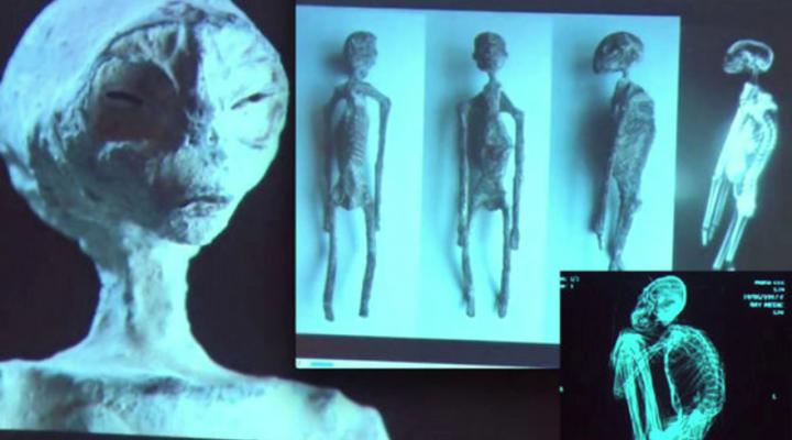 múmias anômalas de Nazca geram impacto internacional