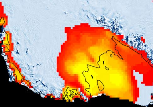 Está chovendo na Antártica e cientistas estão preocupados