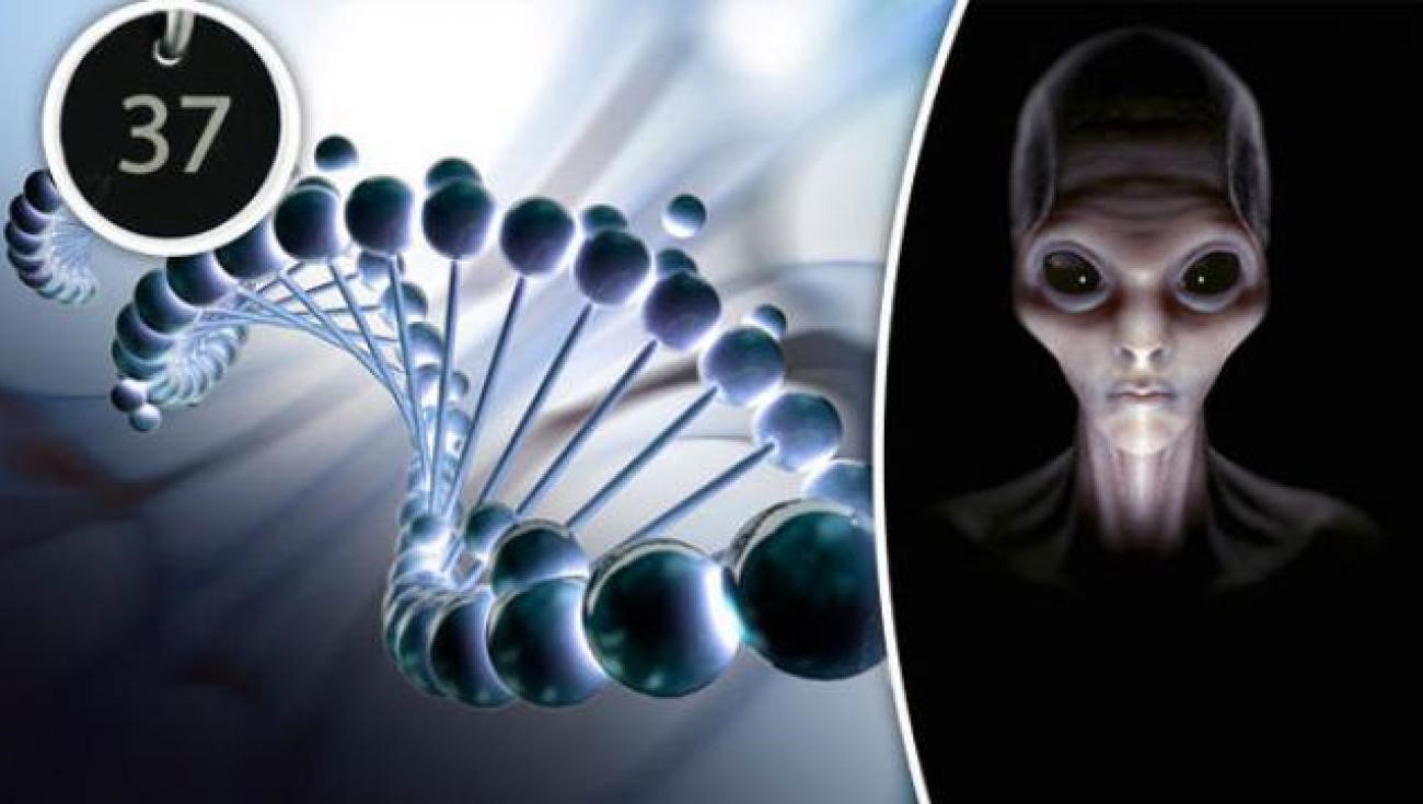 Código genético humano foi criado por alienígenas