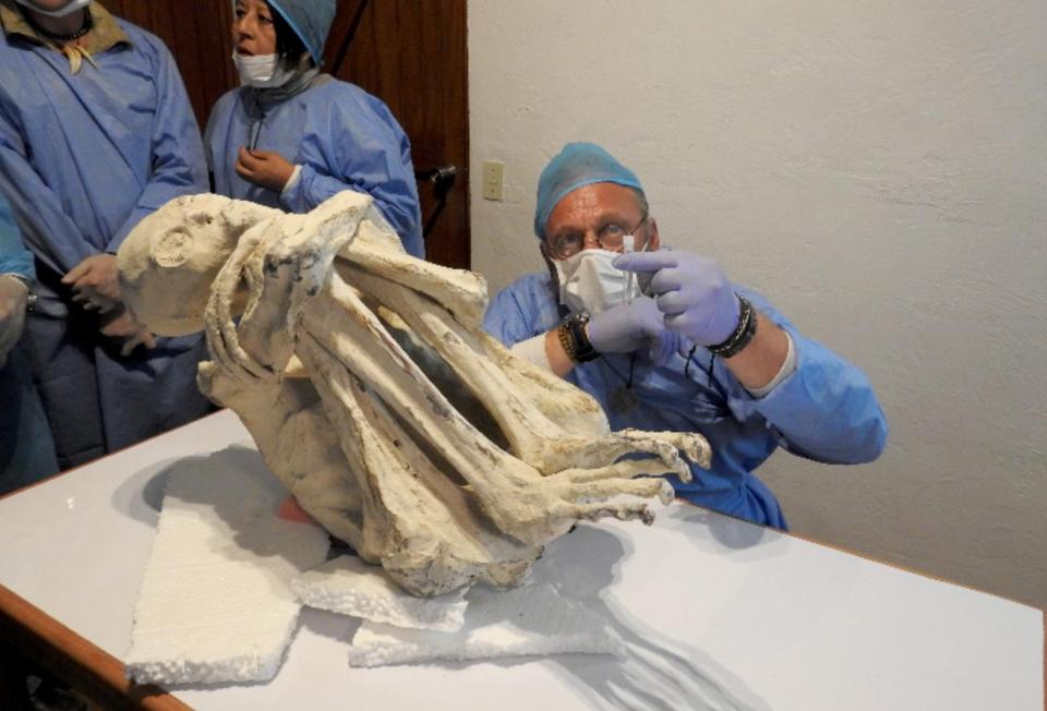 Caso das múmias "alienígenas" de Nazca pode ter sido desvendado