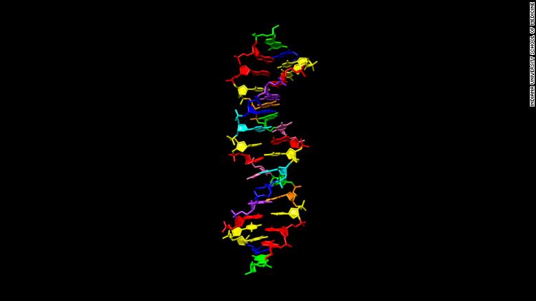 DNA alienígena é criado em laboratório