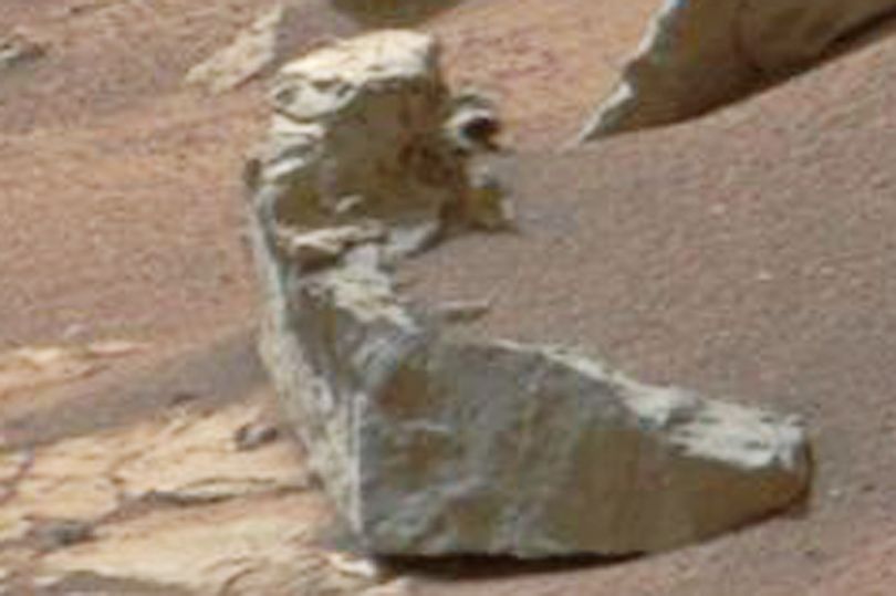 foto da NASA mostra vida em Marte