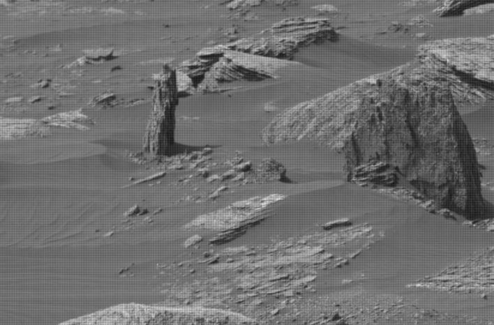 tronco petrificado de árvore em Marte
